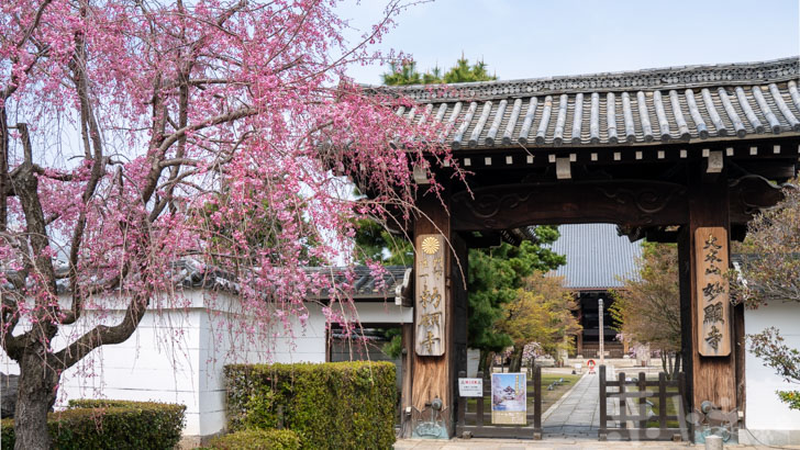 京都妙顕寺